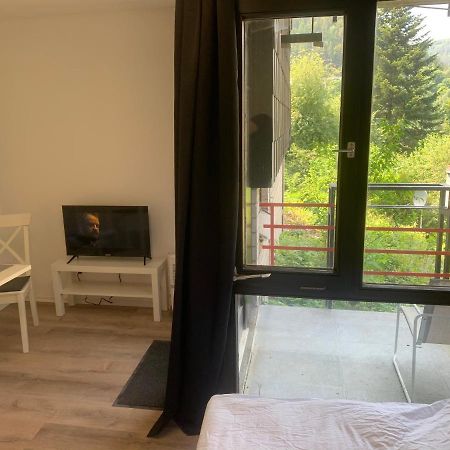 Kleines Einzimmer-Apartment 14 Bad Wildbad Exterior photo